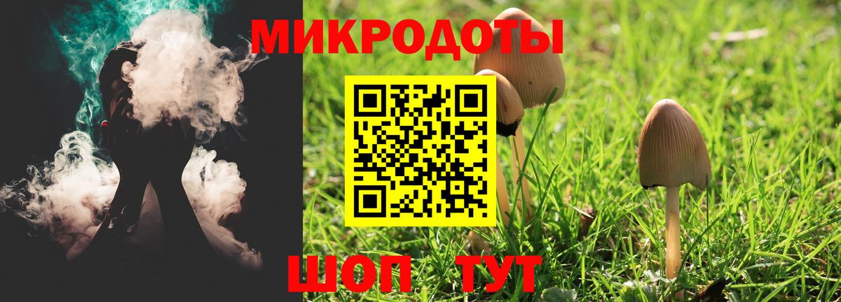 Псилоцибиновые грибы GOLDEN TEACHER  Вход с VPN  Псилоцибиновые грибы мухоморы  Пенза 